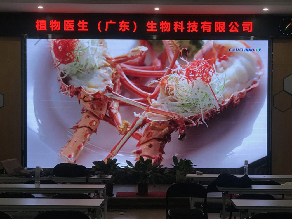 P3 LED Video Wall Panel Fine Pixel Pitch Fixed Indoor Advertising LED Screen Display